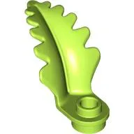 Plant, Fern 2 x 3 x 2