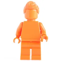 Monochrome Orange with Hair