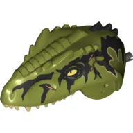 Animal Body Part, Dinosaur, Giganotosaurus Head with Black Pin, Tan Teeth, Black Markings, Scars Print