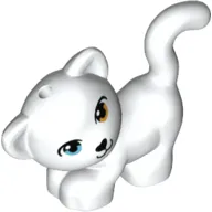 Animal, Cat Playful with Blue and Orange Eye print