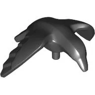 Animal, Bird, Crow with 1.5 Bar