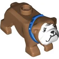 Animal, Dog, Bulldog with White Face, Fangs, Blue Collar print