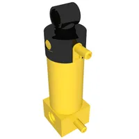 Pneumatic Cylinder with 2 Inlets Medium (48mm) with Black Top