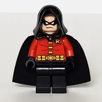 Robin with Black Hood and Cape