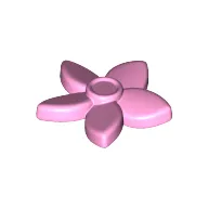 Plant, Flower with 5 Pointed Petals and Pin