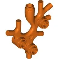 Animal / Plant, Coral / Sea Weed