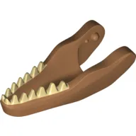 Animal Body Part, Dinosaur, Carnotaurus Lower Jaw with Tan Teeth