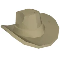 Hat, Cowboy [Plain]