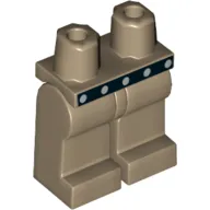 Hips and Dark Tan Legs with Black Belt with 5 Silver Dots Print