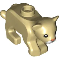 Animal, Cat / Cub with Pink Nose and White Muzzle Print