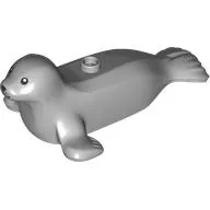 Animal, Seal with Black Eyes print