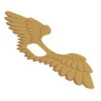 Wings, Extended with Feathers Print