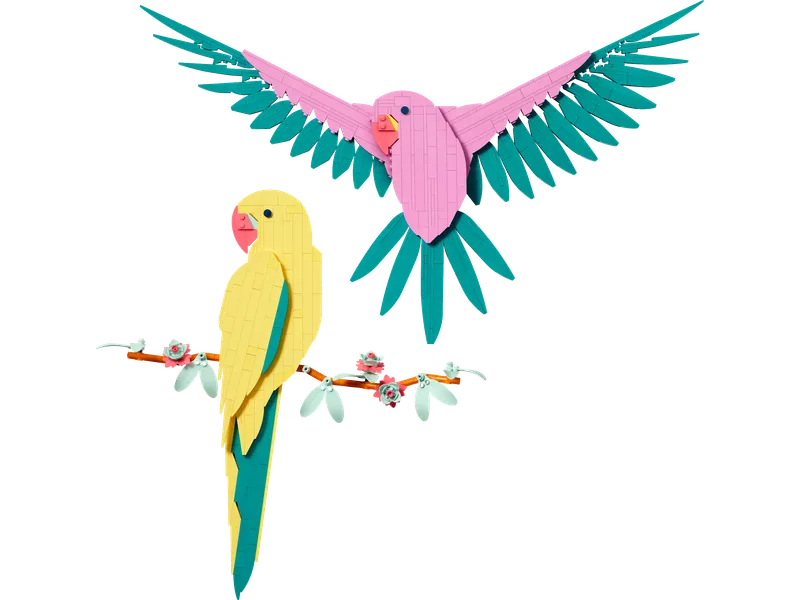 Macaw Parrots